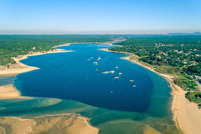 Arrabida Wine Tour from Lisbon: Wineries, Tastings & Tile Factory - Key points to know before booking