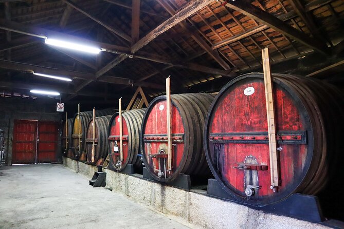 Authentic Small Group Douro Wine Tour with Lunch & River Cruise - Pinhão, Rabelo boats, and a slow hour on the Douro