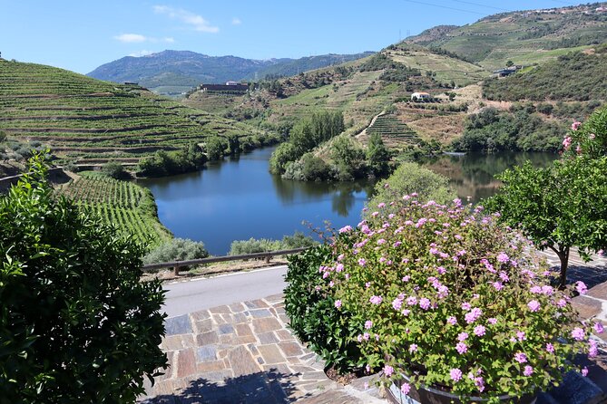 Authentic Small Group Douro Wine Tour with Lunch & River Cruise - A traditional lunch in Pinhão
