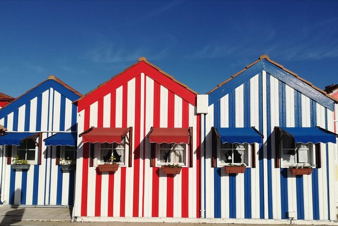 Aveiro and Coimbra Small Group Tour with Moliceiro Boat Cruise - Why this makes a good Porto day trip