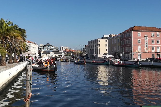 Aveiro and Coimbra Small Group Tour with Moliceiro Boat Cruise - Biblioteca Joanina, Manga Garden, and the church