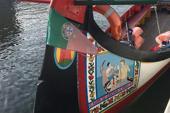 Aveiro and Coimbra Small Group Tour with Moliceiro Boat Cruise - The guide can shape the whole day
