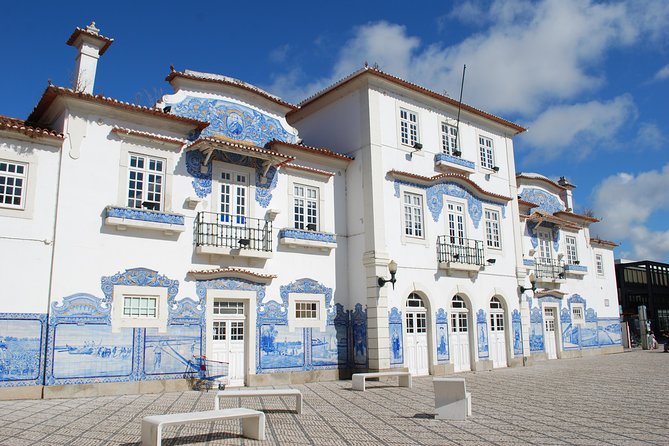 Aveiro and Costa Nova Half Day Tour from Porto with Boat Ride - Is $55.63 a fair price?