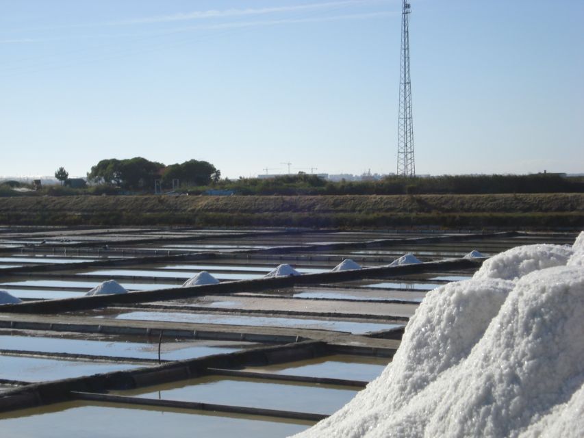 Aveiro: Boat Cruise and City Walking Tour with Sweet Tasting - Ovos moles, a small taste of Aveiro
