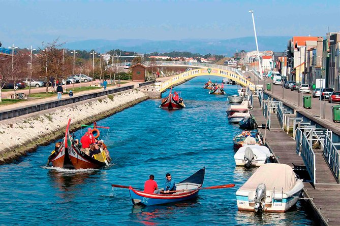 Aveiro Canal Cruise in Traditional Moliceiro Boat - Why a moliceiro ride belongs in an Aveiro day