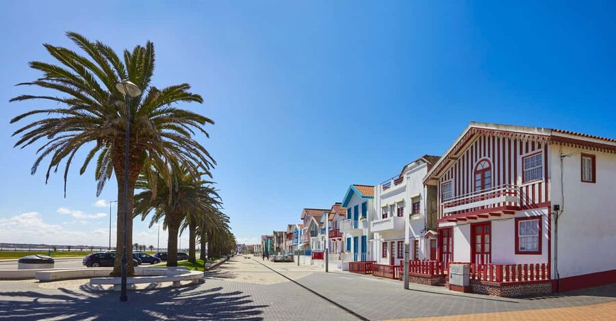 Aveiro: Half-Day Tour from Porto with Cruise - What kind of guide experience to expect