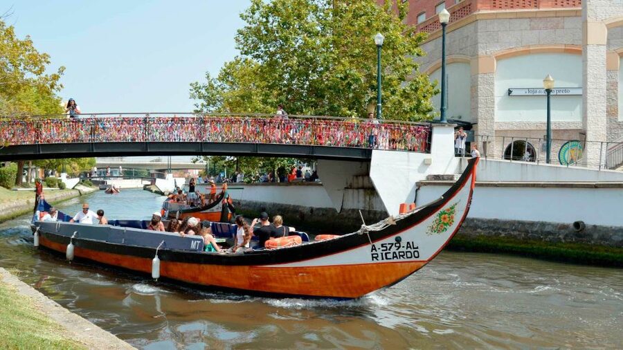 Aveiro: Traditional Moliceiro Boat Cruise - Seeing Aveiro from a Moliceiro boat