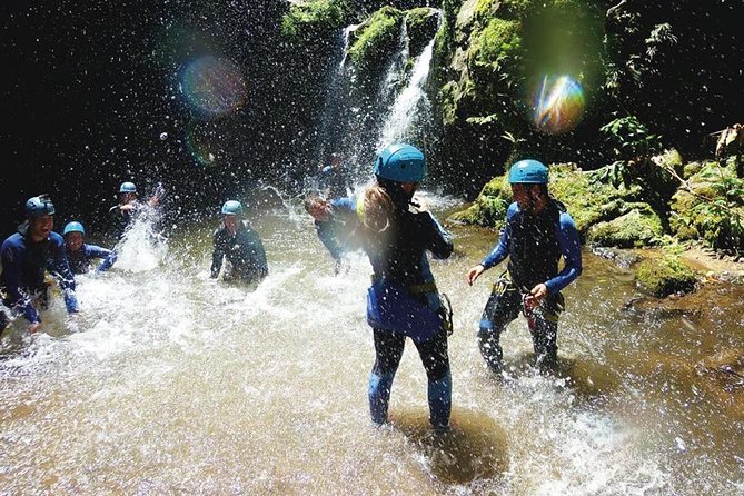 Azores Canyoning Adventure in São Miguel - Half-day - Wildlife, rock, and the value of being outside