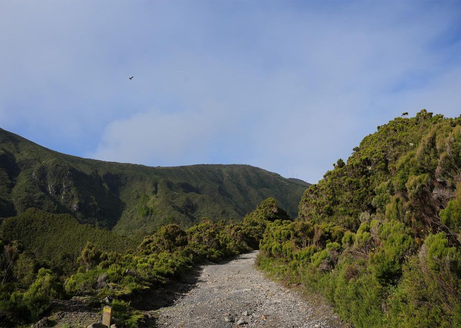 Azores: São Miguel and Lagoa do Fogo Hiking Trip - The uphill start through São Miguel’s pastures