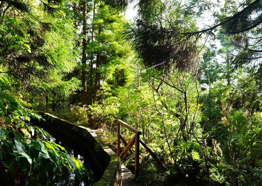 Azores: São Miguel and Lagoa do Fogo Hiking Trip - The steep return toward the south coast