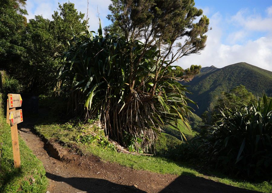 Azores: São Miguel and Lagoa do Fogo Hiking Trip - What the guides add to the day