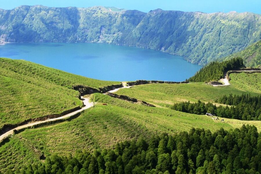 Azores: Sete Cidades Scenic Jeep Tour from Ponta Delgada - Flowers, trees, and the island’s natural details