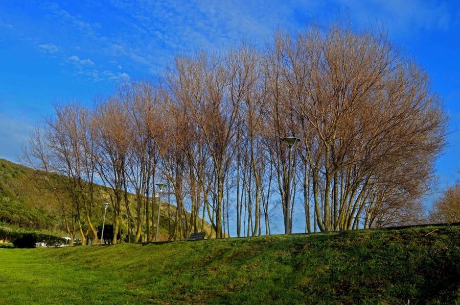 Azores: Terceira Island Full-Day Tour - Serra do Cume is the big viewpoint