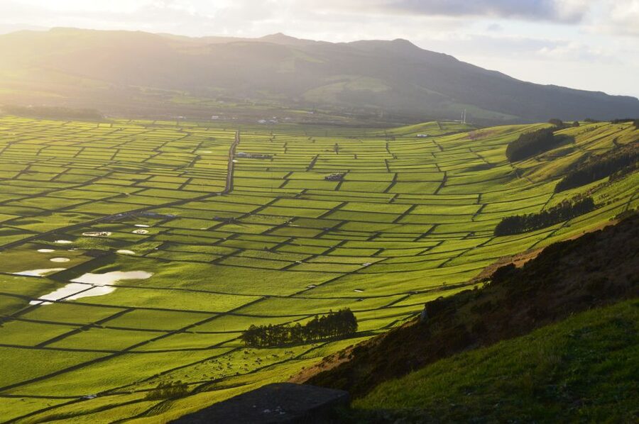 Azores: Terceira Island Full-Day Tour - Biscoitos shows Terceira’s volcanic coast