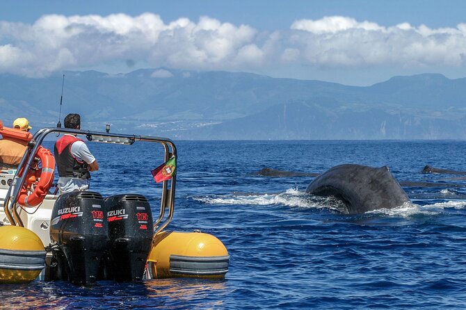 Azores Whale Watching & Islet Boat Tour - The RIB ride is part of the attraction