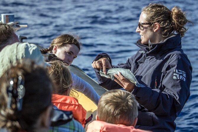 Azores Whale Watching & Islet Boat Tour - The briefing turns a boat ride into a lesson