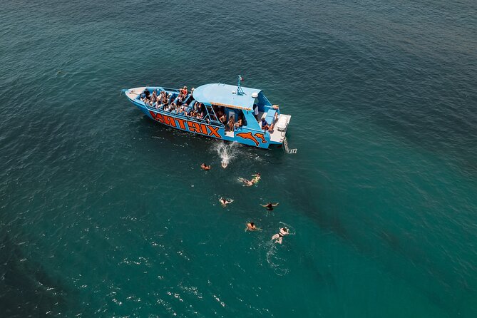 Benagil Caves and Dolphin Watching - 2.5h - Who will enjoy this cruise most?