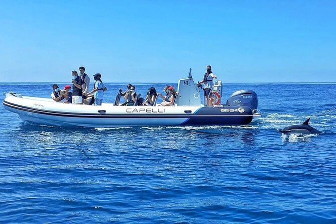 Benagil Caves Visit with Dolphins Watching from Albufeira - What this Albufeira boat trip actually includes