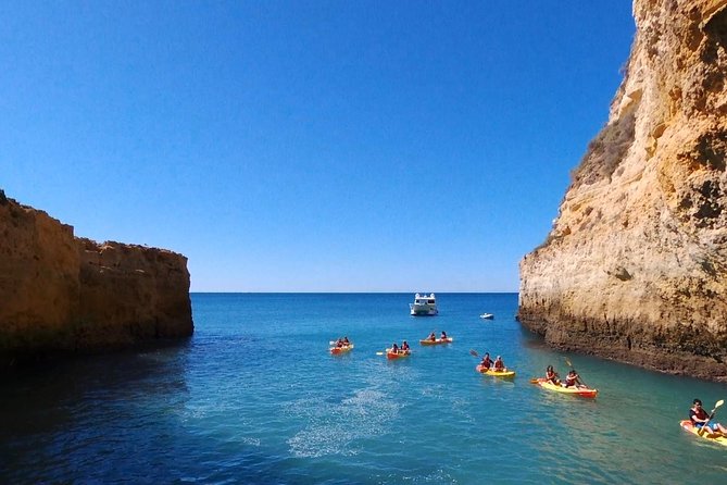 Benagil Kayak Tour On Board a Fantastic Catamaran - A short swim after the paddling