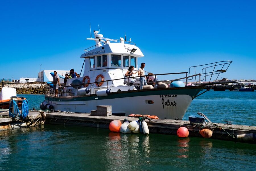Berlengas The Atlantic Frontier: Day Tour from Lisbon - The return journey to Lisbon