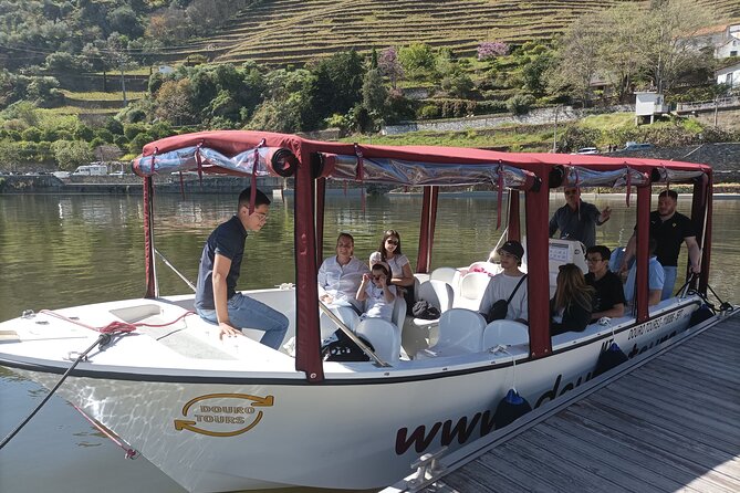 Boat tour 50min through the river Douro in Pinhão - Who should book this Pinhão boat trip