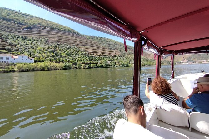 Boat tour 50min through the river Douro in Pinhão - A 50-minute route with a useful rhythm