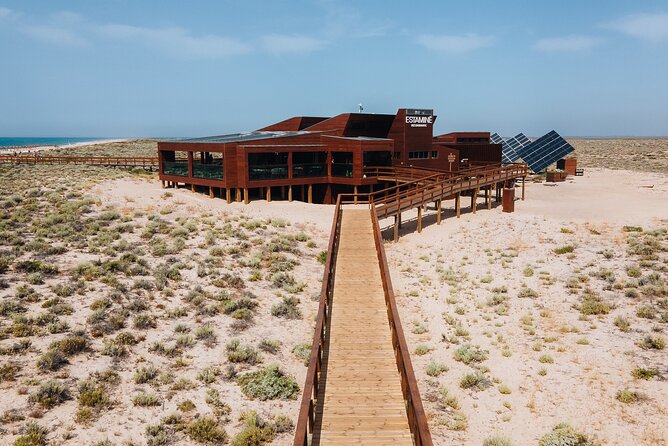 Boat trip from Faro to Ilha Deserta by Ferry - Beaches, birds, and the pleasure of having no schedule