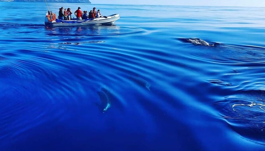 Boat Trip to Corvo and Island Sightseeing Tour - FAQ