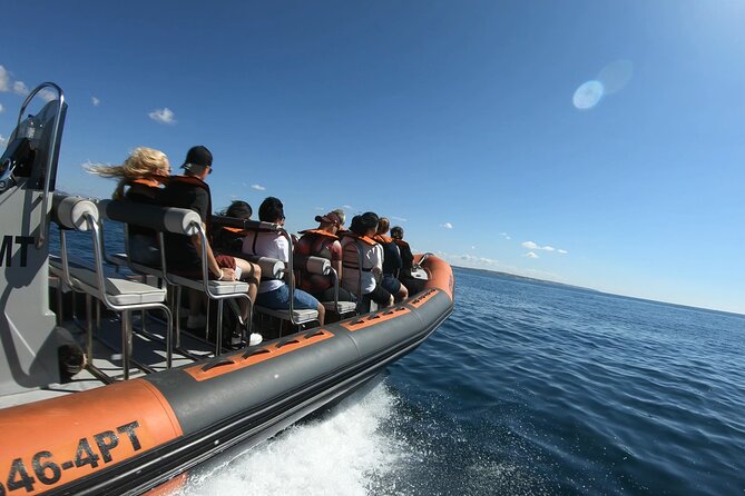 Boat trip to the caves of Benagil - A chance to spot dolphins on the way back