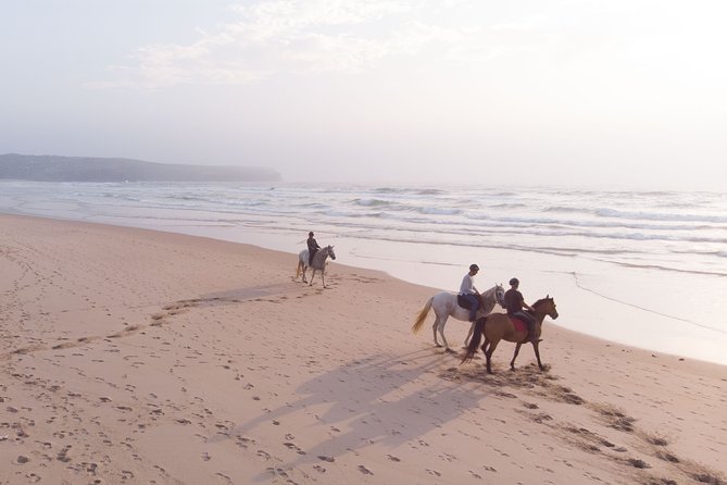 Bordeira Beach - Horse Riding Tour at Sunset - From Carrapateira’s pines to the open beach