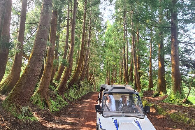 BUGGY TOUR - West / Center of the island (off-road) - Viewpoints over the Atlantic and the island interior