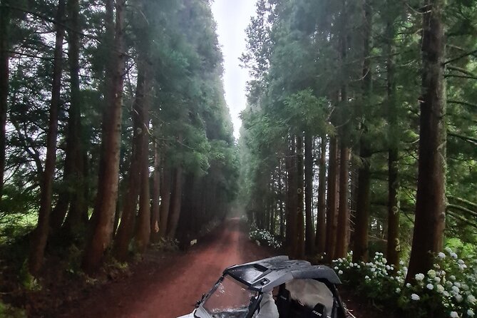 BUGGY TOUR - West / Center of the island (off-road) - How hard is the driving?