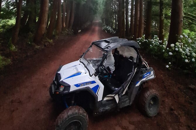 BUGGY TOUR - West / Center of the island (off-road) - From Angra to the Pico da Vigia meeting point