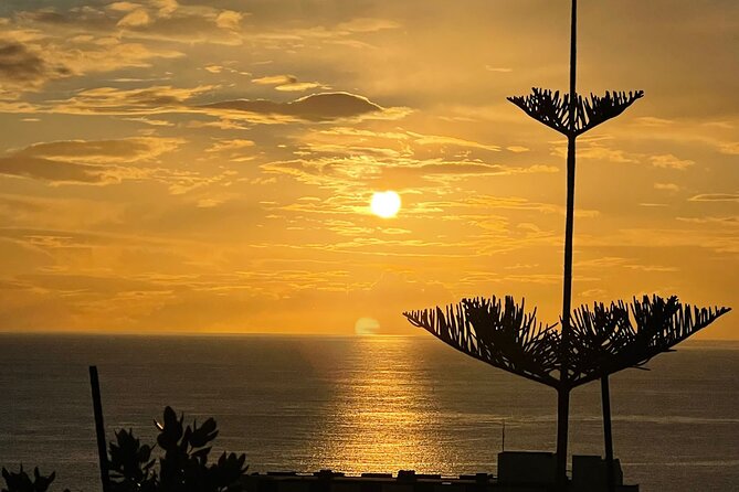CABO GIRÃO (Half Day tour/3h) / Private Classic Car (4L). - The west-coast road between the stops