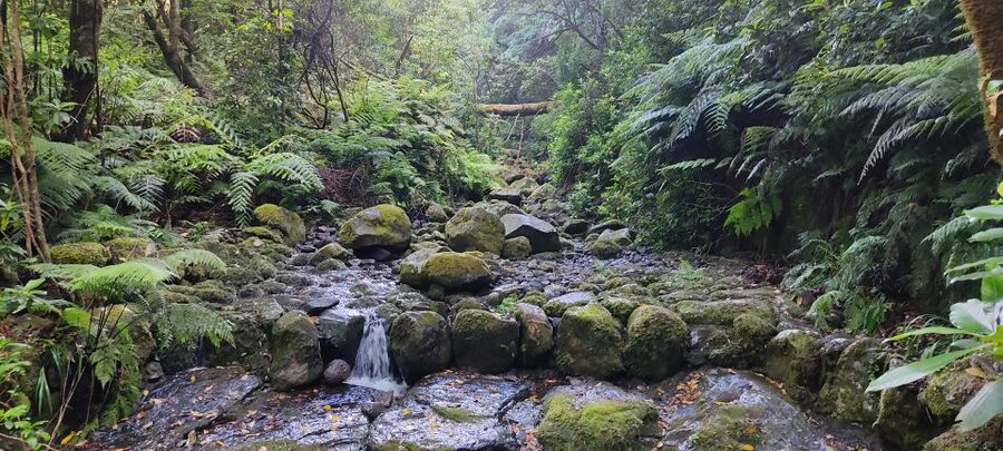 Caldeirão Verde: Queimadas PR9 Transfer and Self-Guided Hike - Cancellation and day-of-trip planning