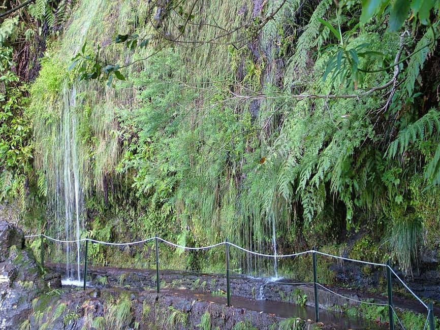 Caldeirão Verde: Queimadas PR9 Transfer and Self-Guided Hike - Reaching the green cauldron and returning