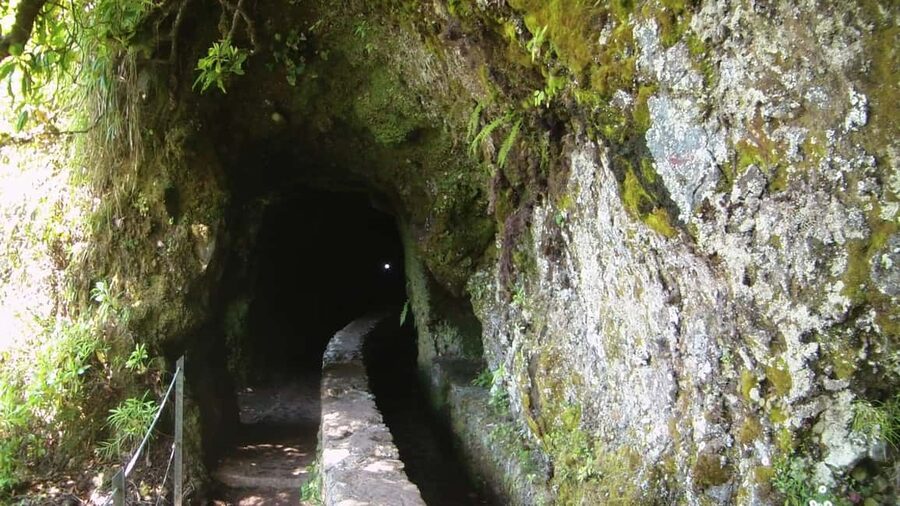 Caldeirão Verde: Queimadas PR9 Transfer and Self-Guided Hike - Who should book this hike?