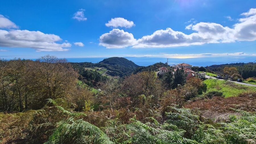 Camacha: Levada Trail e-Bike Guided Tour - Key points at a glance