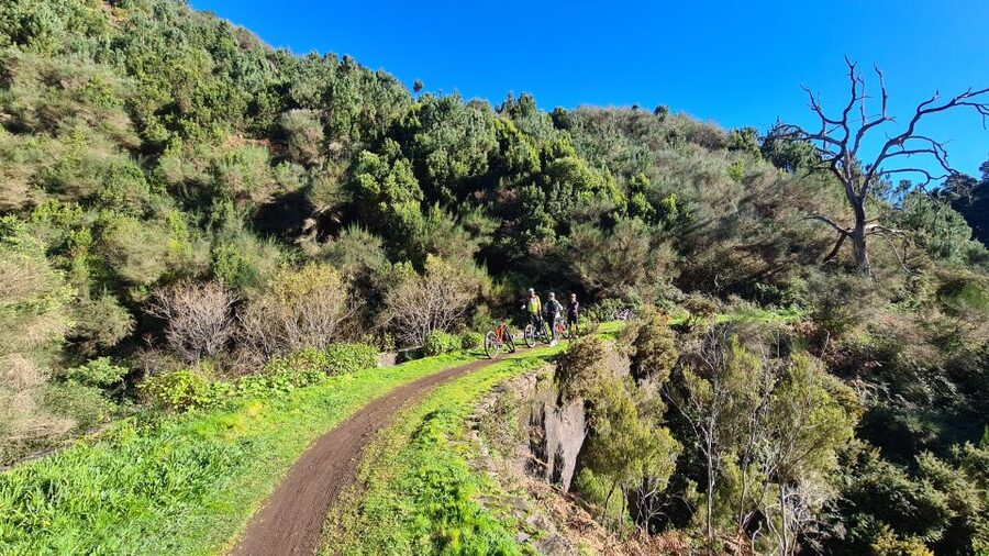 Camacha: Levada Trail e-Bike Guided Tour - How difficult is the ride?