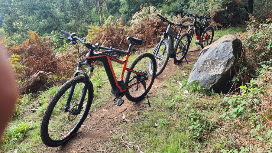Camacha: Levada Trail e-Bike Guided Tour - The 30-minute transfer from your hotel