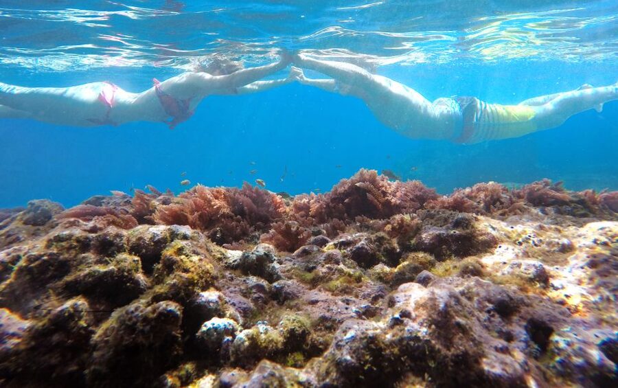 Caniço, Madeira: Marine Reserve Kayak & Snorkelling Tour - Paddling beneath Madeira’s coastal cliffs