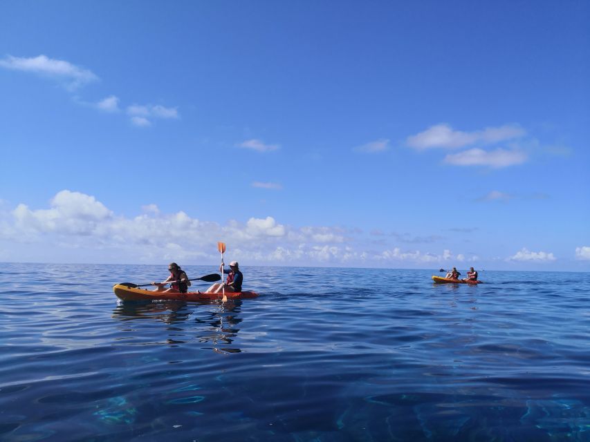 Caniço, Madeira: Marine Reserve Kayak & Snorkelling Tour - What the $57 price really buys you