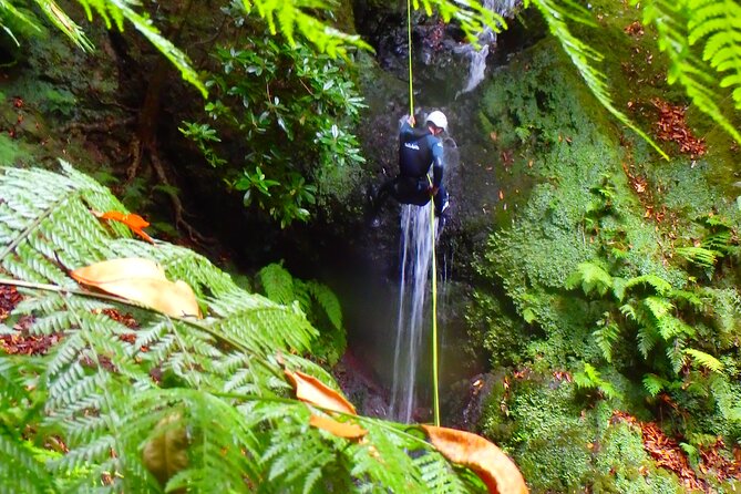 Canyoning Madeira Island - Level One - Rappelling, sliding, and jumping through the canyon