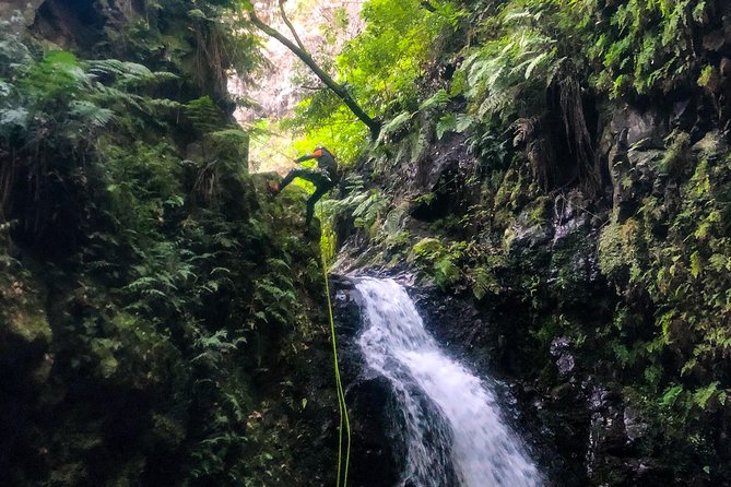 Canyoning Madeira Island - Level Two - Why Madeira is such a good place for canyoning