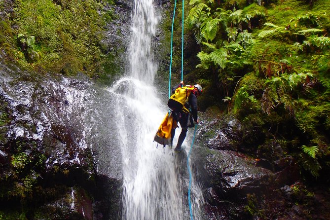 Canyoning Madeira Island - Level Two - Rappelling down waterfalls with close guidance