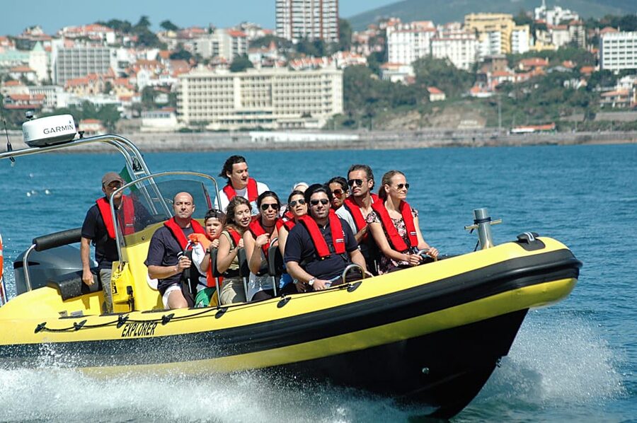Cascais: Dolphin Watching Speedboat Tour - Practical details at a glance