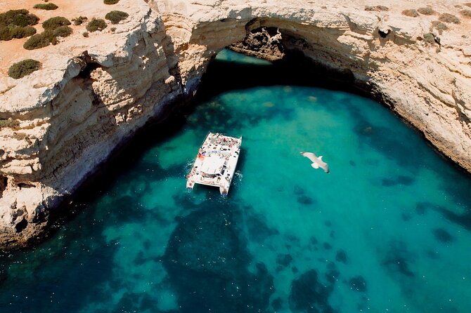 Catamaran Cruise: Caves and Coastline to Benagil - From Albufeira Marina to the open sea