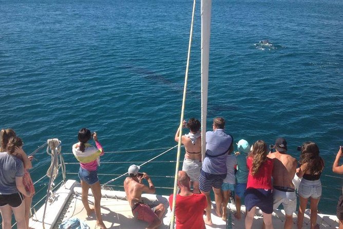 Catamaran Cruise in Lagos - Lagos cliffs are best seen from offshore