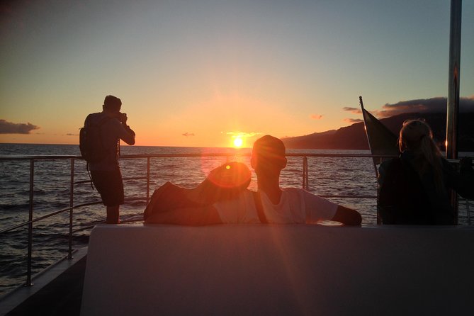 Catamaran Sunset Cruise from Funchal - Key points to know before you book