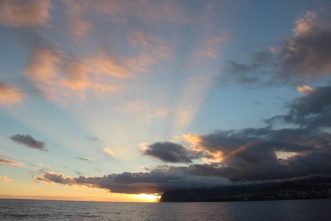 Catamaran Sunset Cruise from Funchal - Wildlife sightings depend on the Atlantic